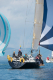 machismo ii gbr8274 whyw16 mon 800 2229w